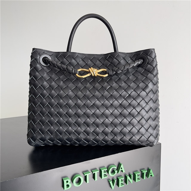 Bottega Veneta Medium Andiamo 766016 Black